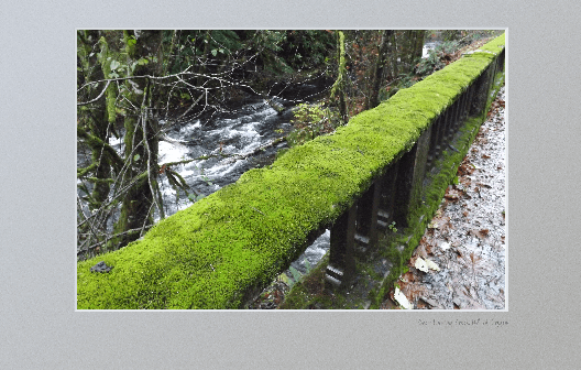 Mossy bridge north of Camp 18 on US 26.  (Sadly now cleaned!)